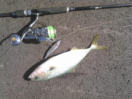 ジャイアントドッグX